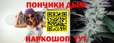 шишки Краснознаменск