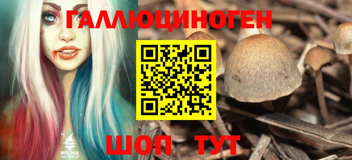 Котлас  Галлюциногенные грибы ЛСД  цена   Вход с VPN 